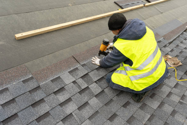 Residential Roof Replacement in Lake City, MN