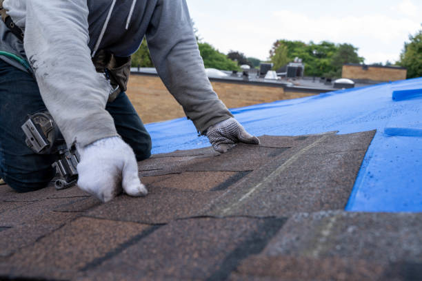 Best New Roof Installation  in Lake City, MN
