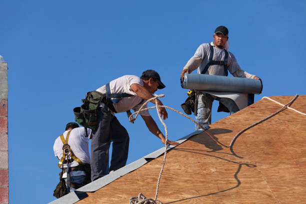 Best Best Roofing Contractors  in Lake City, MN
