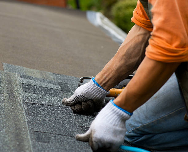 Best Flat Roof Repair Services  in Lake City, MN