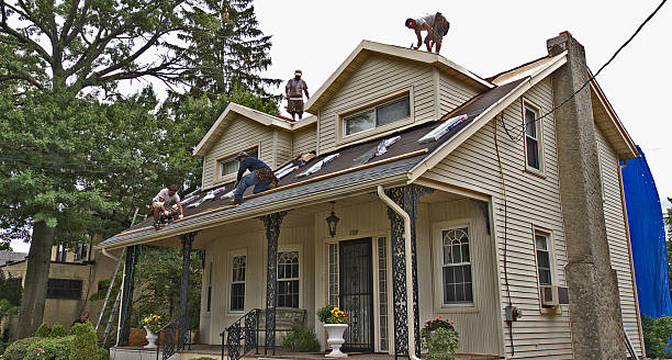 Best Slate Roofing Contractor  in Lake City, MN