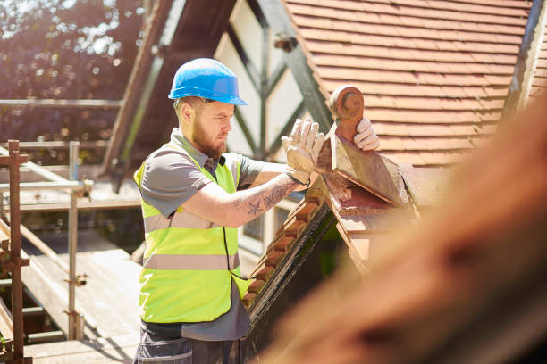Professional Roofing Contractor in Lake City, MN