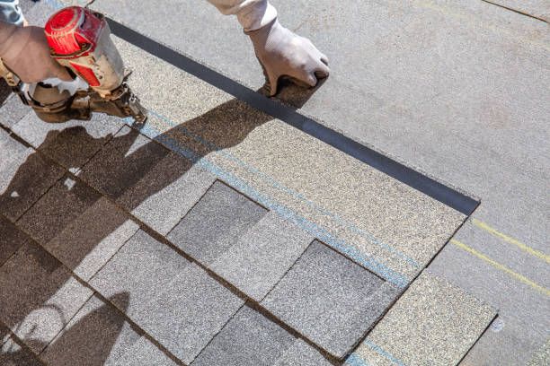 Best Roof Leak Repair  in Lake City, MN