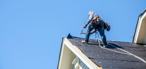 Best Roof Gutter Cleaning  in Lake City, MN