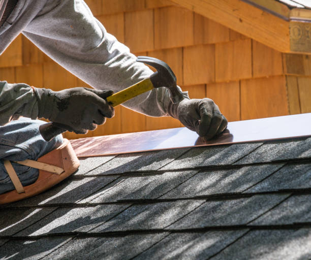 Best Roof Waterproofing Services  in Lake City, MN